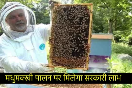 Honeybee farming